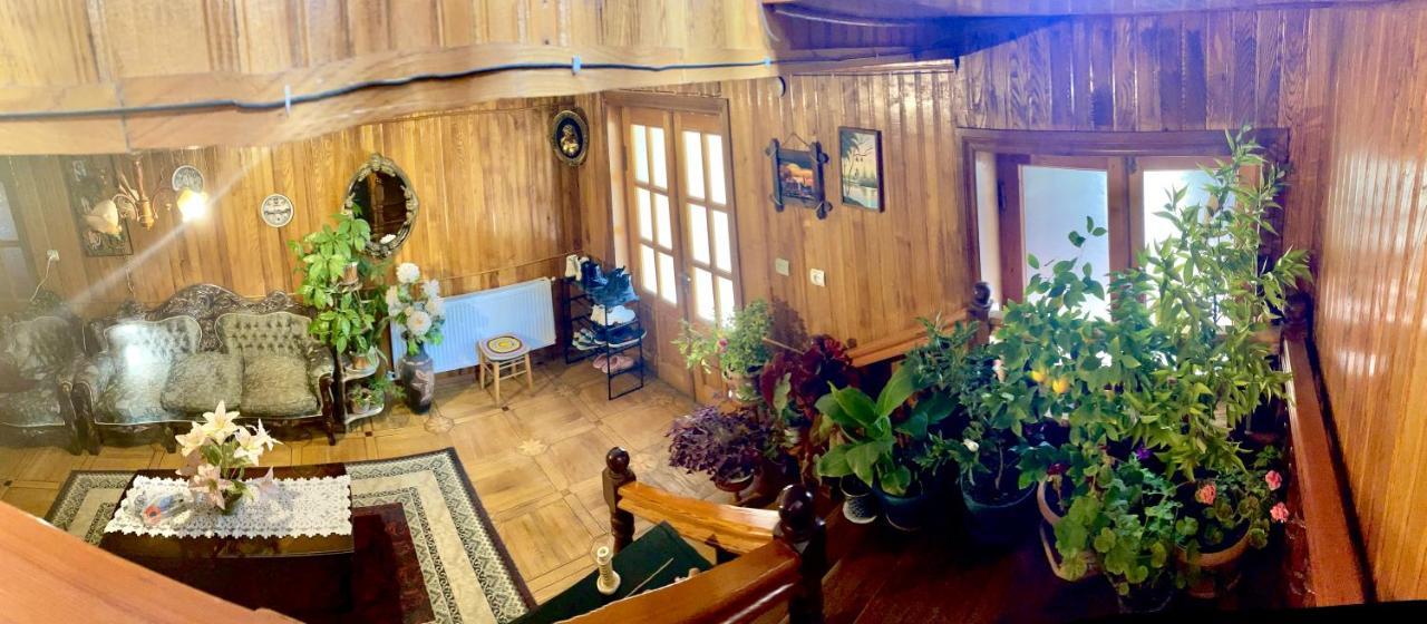 Guesthouse Georgia Sagarejo Zewnętrze zdjęcie