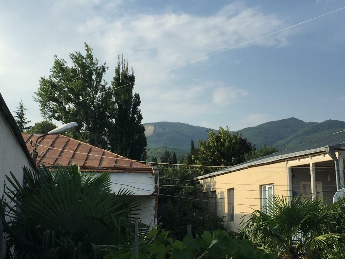Guesthouse Georgia Sagarejo Zewnętrze zdjęcie